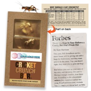 Cricket Crunch Bar