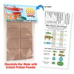 Cricket Crunch Bar | Cricket Powder | Milk Chocolate | Promo Size