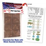 Cricket Crunch Bar | Whole Crickets | Dark Chocolate | Promo Size